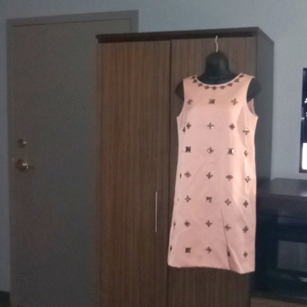 Ann Taylor dress, NWT.